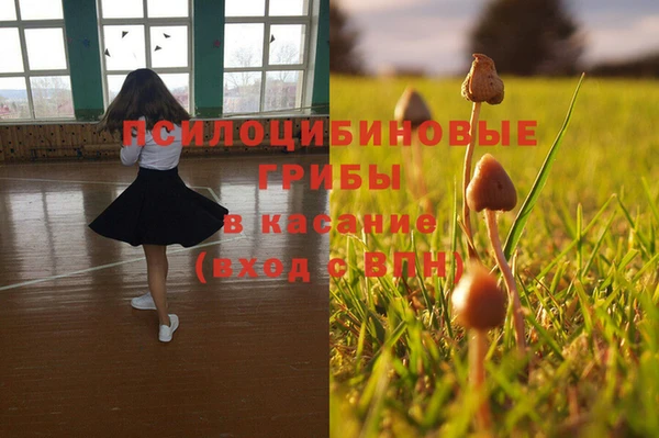 COCAINE Няндома