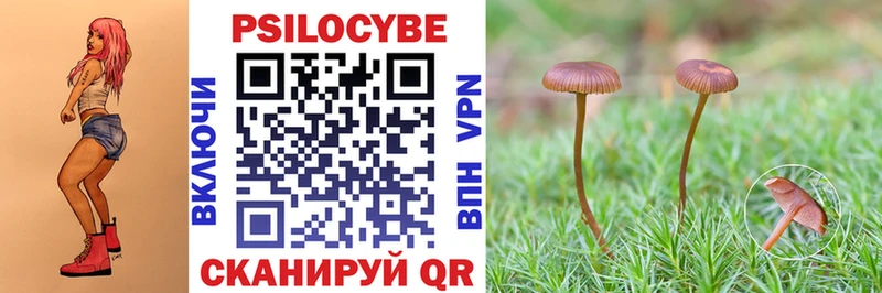 Псилоцибиновые грибы прущие грибы  Тольятти 