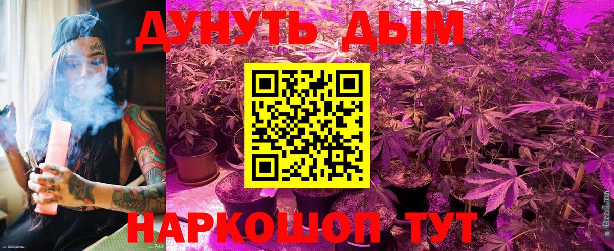 Канабис семена  Марихуана ГИДРОПОН  Вход с VPN  МАРИХУАНА семена  Тольятти 
